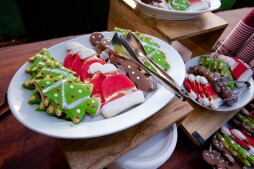 Holiday Cookie Decorating