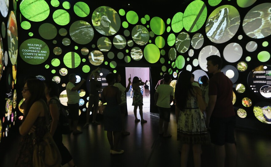 The museum emphasizes the importance of environmental stewardship.