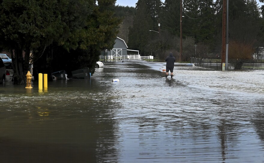 A man wades through rising water from the nearby Skookumchuck River to take a photo in the town of Bucoda, Wash., Friday, as area rivers and snow runoff begin to accelerate flooding in the south sound.