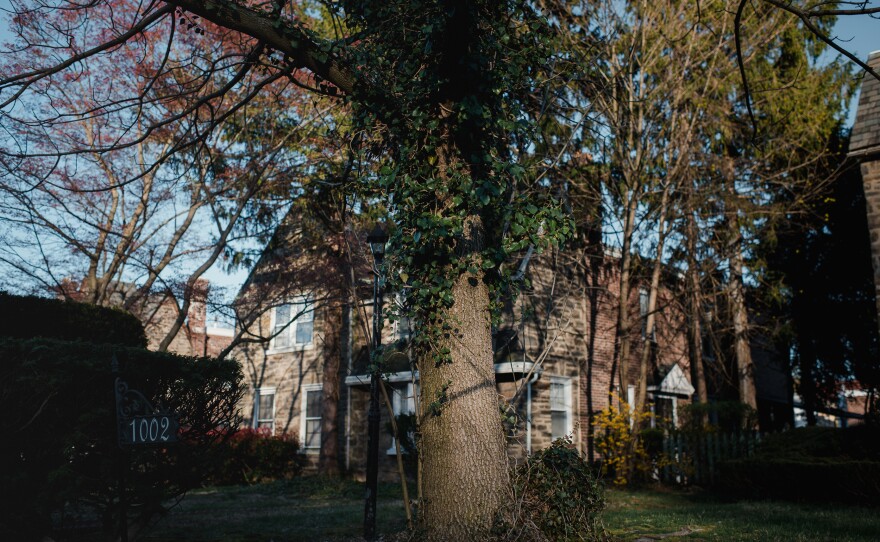 The sun sets in the Philadelphia neighborhood of East Germantown. The northwest part of the city has more access to green spaces.