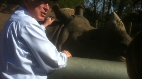 U.S. Interior Secretary Ken Salazar pats a rhino at the San Diego Zoo. April 4, 2012.