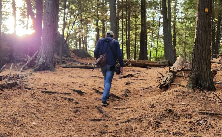 Adam Welz treks through New York's Adirondack Park. "This is a much more diverse, much more stable system than it was because of these efforts to allow species to re-establish themselves," he says.
