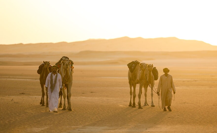 In ARABIA WITH LEVISON WOOD, the military-trained writer and photographer embarks on a rarely ventured route through the challenging environments and remote corners of a little-understood land — Arabia. In the process, he immerses himself in the region's cultures, revealing unique and powerful insights.