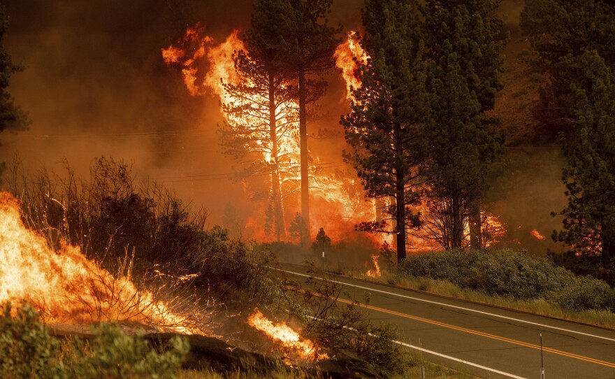 The Tamarack Fire burns in the Markleeville community of Alpine County, Calif., on Saturday, July 17, 2021.