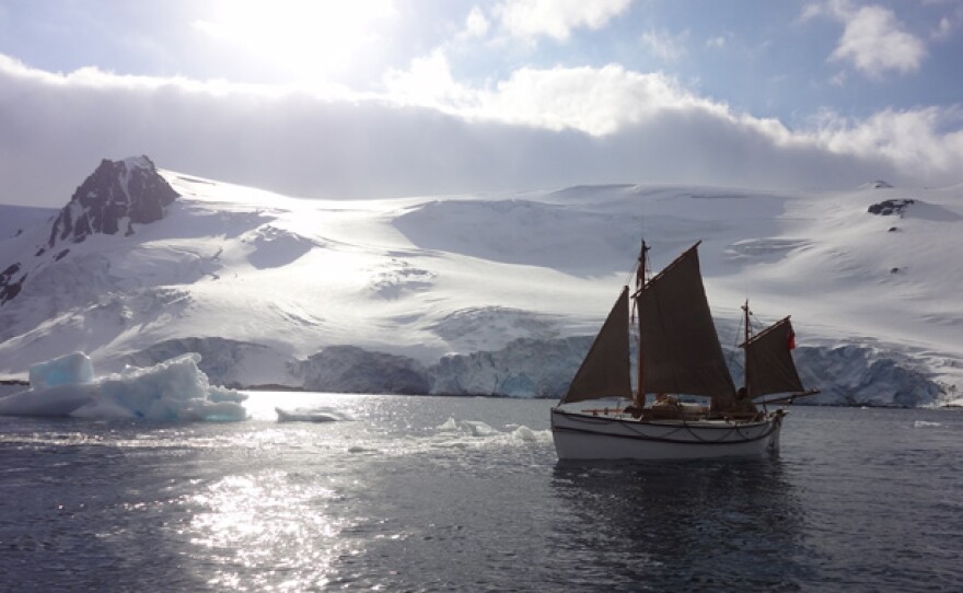 Alexander Shackleton sailing in the sun.