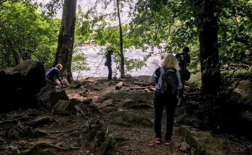 The practice of retreating to nature to find stillness and calm is age-old. In his essay <em>Walking, </em>Henry David Thoreau wrote, "I think that I cannot preserve my health and spirits, unless I spend four hours a day at least — and it is commonly more than that — sauntering through the woods and over the hills and fields, absolutely free from all worldly engagements. "