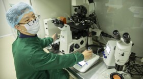 Chinese scientist Qin Jinzhou works with embryos in a laboratory in Shenzhen in southern China's Guangdong Province, Oct. 9, 2018. 