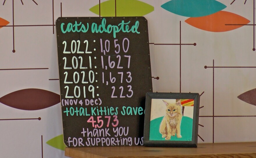 A chalkboard showing how many cats have been adopted each year from the Cat Lounge is shown on Dec. 8, 2022.