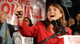 Republican Senate candidate Christine O'Donnell addresses supporters after winning the Republican nomination for Senate in Delaware, Tuesday, Sept. 14, 2010, in Dover, Del. O'Donnell upset Rep. Mike Castle.