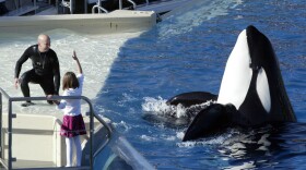 SeaWorld Adventure Park trainer Ken Peters, left, looks to a killer whale during a performance at Shamu Stadium in San Diego, 2006.