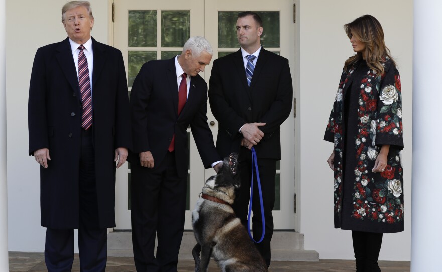 President Trump, Vice President Pence and first lady Melania Trump present Conan, the military working dog injured in the successful operation targeting Islamic State leader Abu Bakr al-Baghdadi, before the media in the Rose Garden at the White House on Monday.