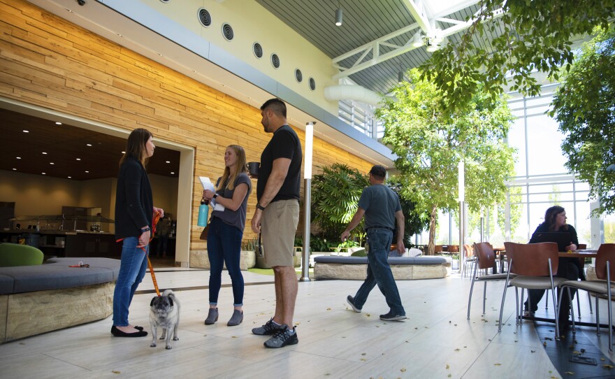 Emily Forrester (left), vice president of human resources for Workiva, chats with a colleague and new summer intern. Forrester oversees much of the company headquarters' general hiring, including more than 80 interns each year.