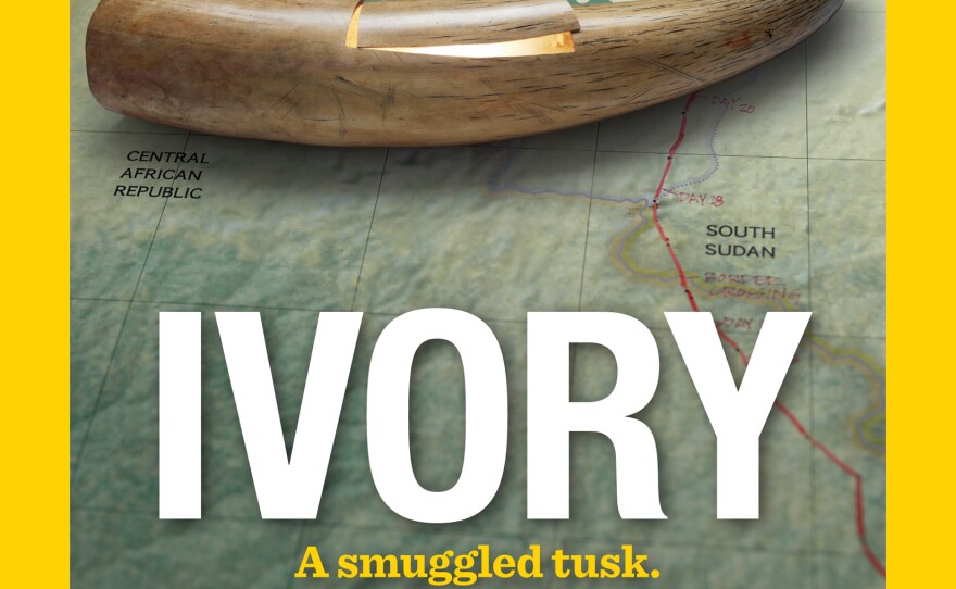 Journalist Bryan Christy traces the path of Africa's ivory smugglers in the cover story of National Geographic Magazine's September 2015 issue.