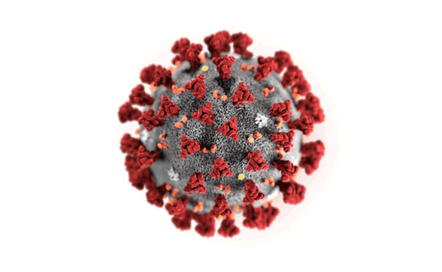 An artist illustration of 2019 novel coronavirus.