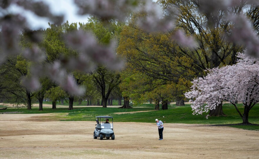 Golf's ruling bodies hope to finalize the new ball by 2026.