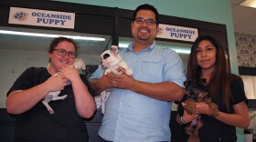 Oceanside Puppy owner David Salinas, center, and his employees show off dogs for sale, Dec 2014