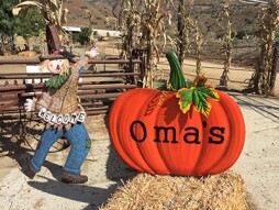 omas.jpg