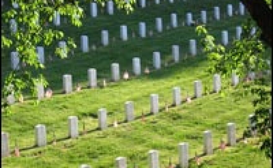 Flags line a section of Arlington National Cemetery on a hillside near the Tomb of the Unknowns.