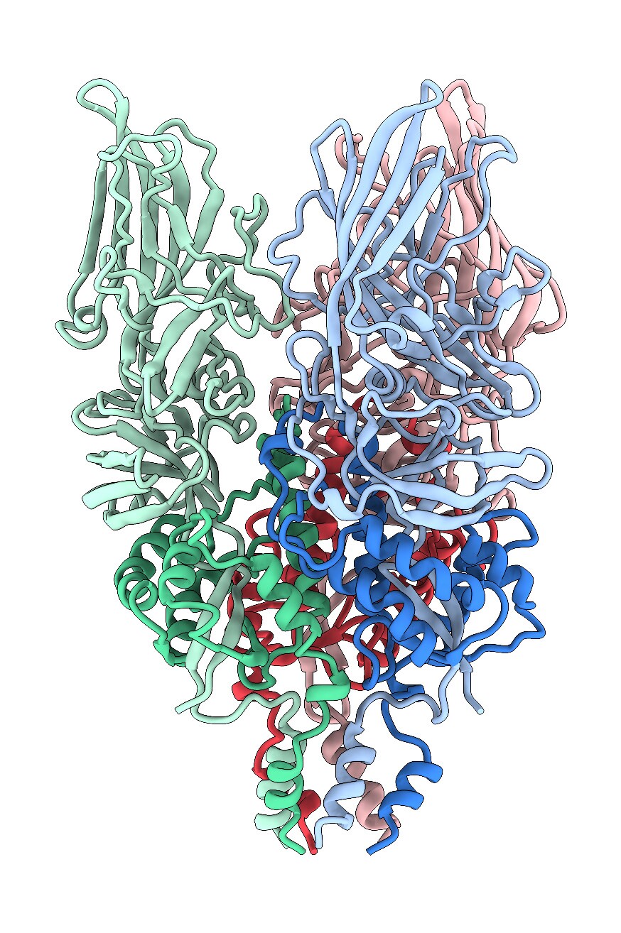 The HERV-K envelope protein is shown in this undated diagram created with an electron microscope.