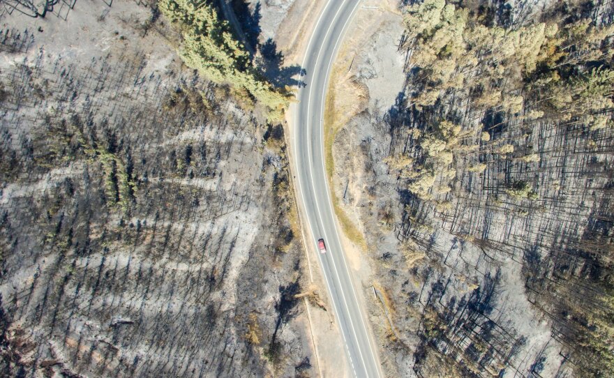 A drone image of a forest near La Florida, Chile, on Sunday, after a wildfire.