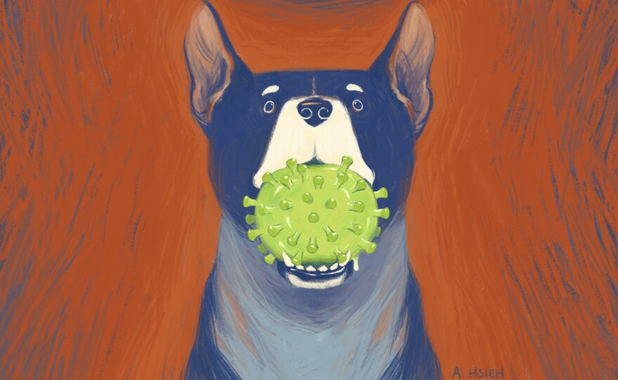 A New, Infectious Coronavirus Is Detected In Malaysia – And It's Coming From Dogs