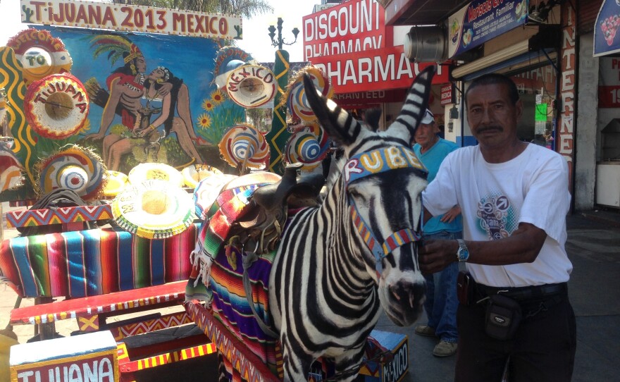 Victor Reyes has been photographing tourists atop Tijuana's "zonkeys" since he was 12, and says at one time he could earn $150 a day. Now, he's lucky to earn $15, he says. Here, Reyes poses with his donkey, Ruben.