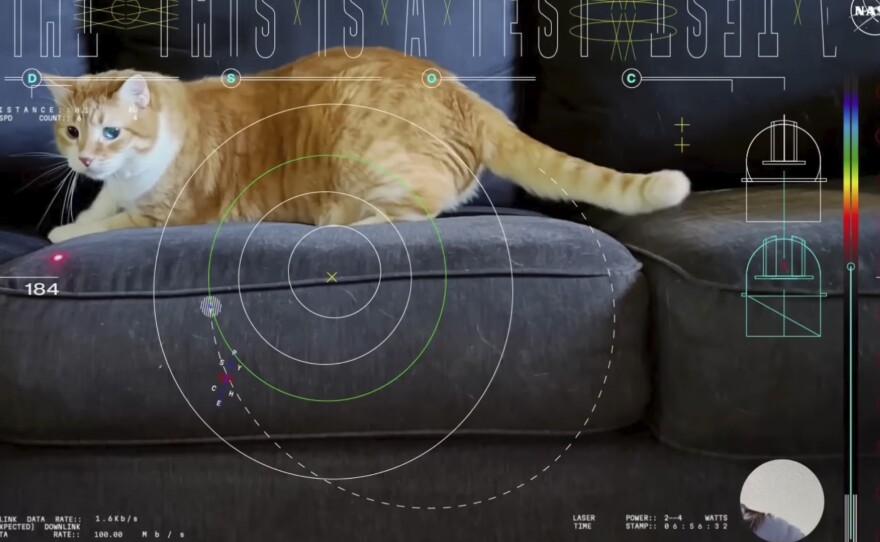 This image shows a frame from a 15-second ultra-high-definition video featuring a cat named Taters which was streamed via laser from deep space by NASA on Dec. 11, 2023.