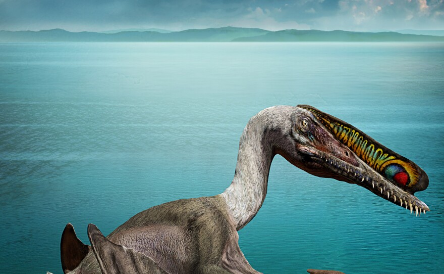 Artist's rendition of a family of pterosaurs, which had massive wingspans of up to 13 feet and likely ate fish with their large teeth-filled jaws.