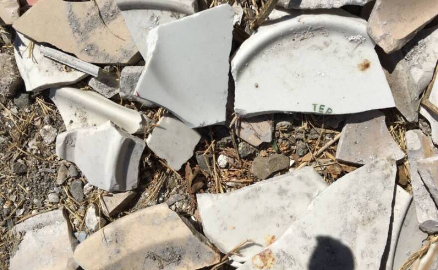 Shards amongst seaweed and sand on TEPCO beach is shown in this undated photo.