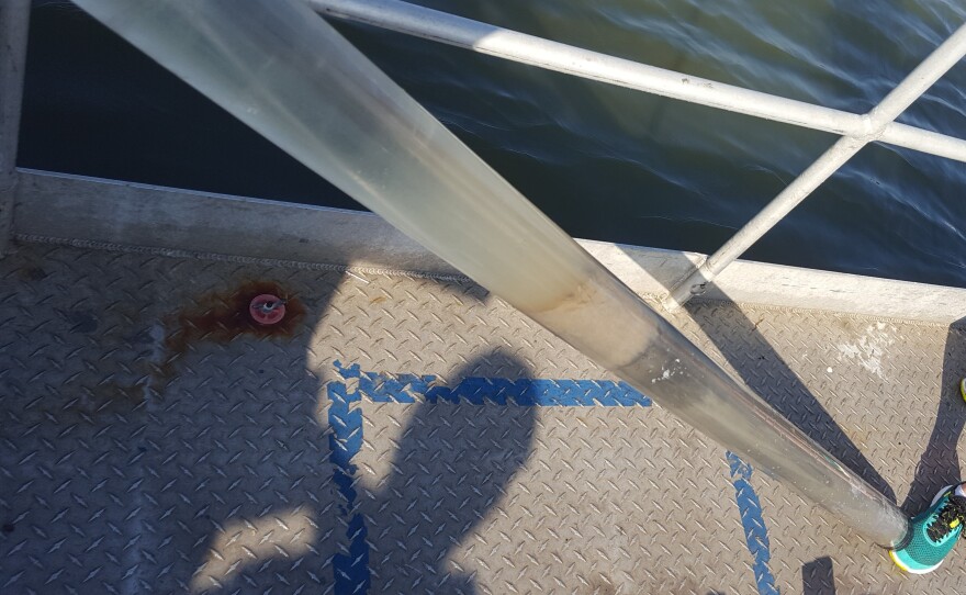 A core sample of mud from the bottom of the Houston Ship Channel. The lightest layer at the top of the tube is about 6 inches of sandy sediment left by the floods after Hurricane Harvey.