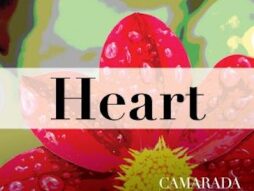 camaradaheart.jpg