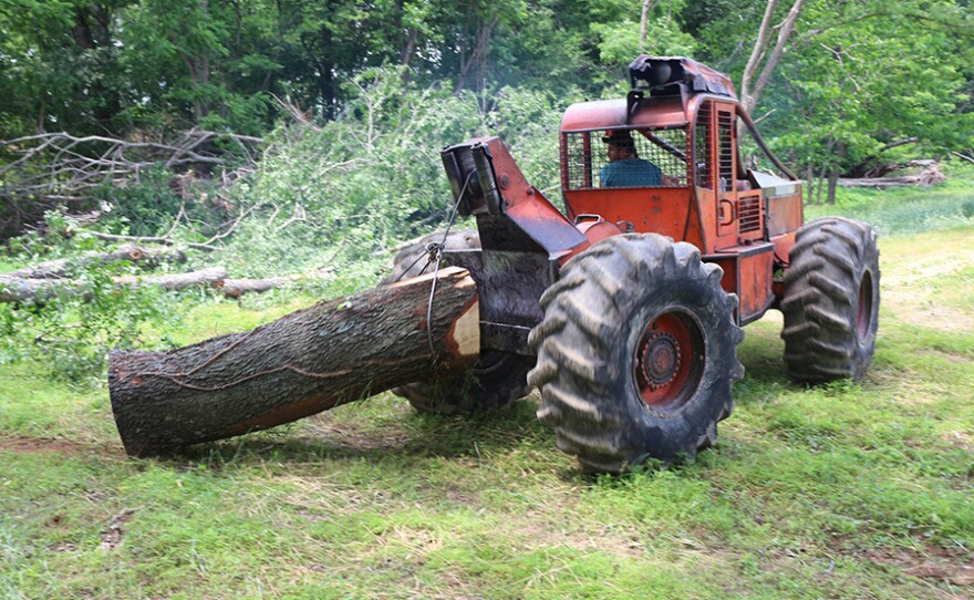 Justin Redfern drags a fallen tree out of the woods using a skidder. Logging is risky work; it accounted for more occupational deaths in the U.S. last year than any other industry.