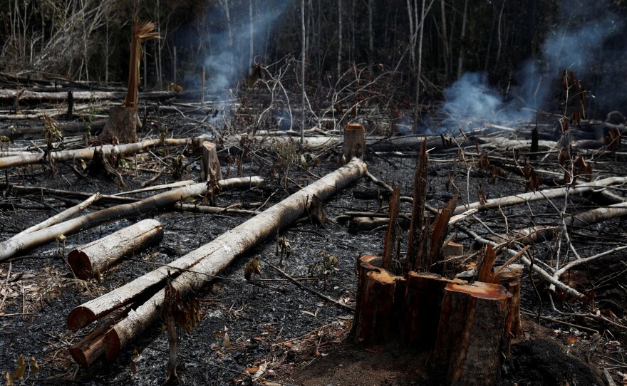 A tract of Amazon jungle being cleared by loggers and farmers burns in Novo Airao, Brazil, on Wednesday.