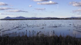 In this March 2, 2020, file photo, birds take off from a marsh in the Tulelake National Wildlife Refuge in the Klamath Basin along the Oregon-California border.