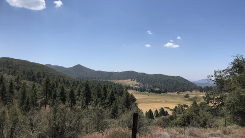 A mountain meadow near Laguna Mountain Lodge and Store on Aug. 11, 2021.