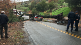 84-year-old George Bamber was killed when a large tree toppled onto his minivan as he was driving along a rural road in Fallbrook on Jan. 9, 2017.