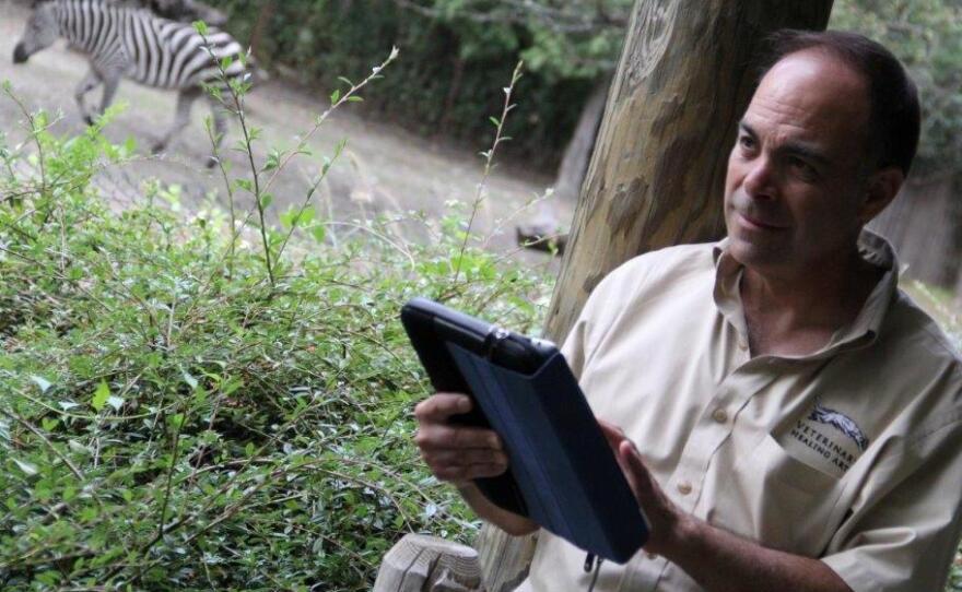 Vint Virga, a veterinarian who specializes in behavioral medicine, has been working mostly with leopards, wolves, bears, zebras and other animals living in zoos and wildlife parks for the past five years.