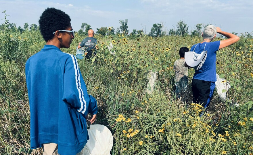The Ivey-Caldwell family searches for butterflies at DeSoto National Wildlife Refuge near Missouri Valley, Iowa. The parents say the outing provides a memorable science lesson for their sons.