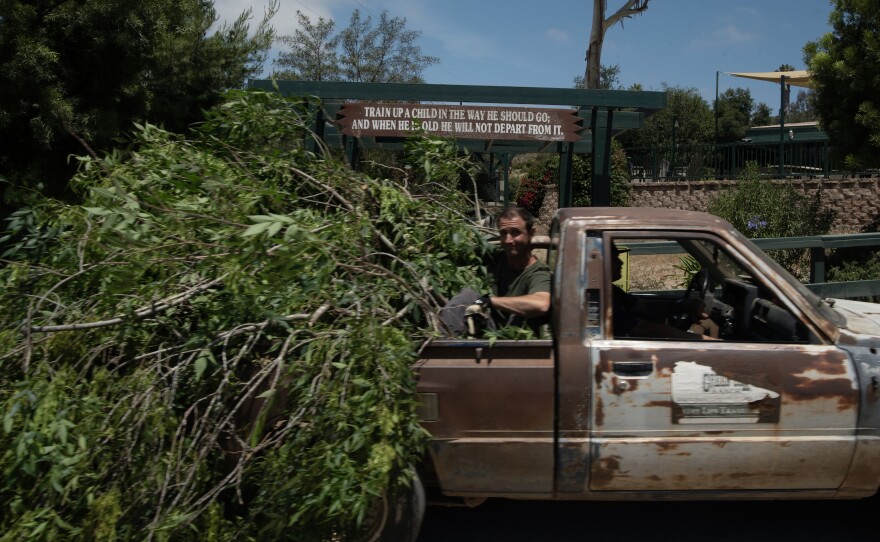 Travis Morris rides in the back of a Green Oaks Ranch work truck filled with debris from the day's work maintaining the landscaping on campus on June 10, 2024, in Vista, Calif.