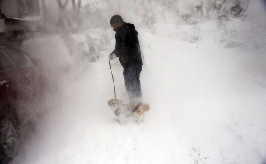 A man and his dog contend with blowing snow in Brooklyn.