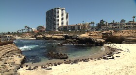 Children's Pool in La Jolla on May 15, 2012.