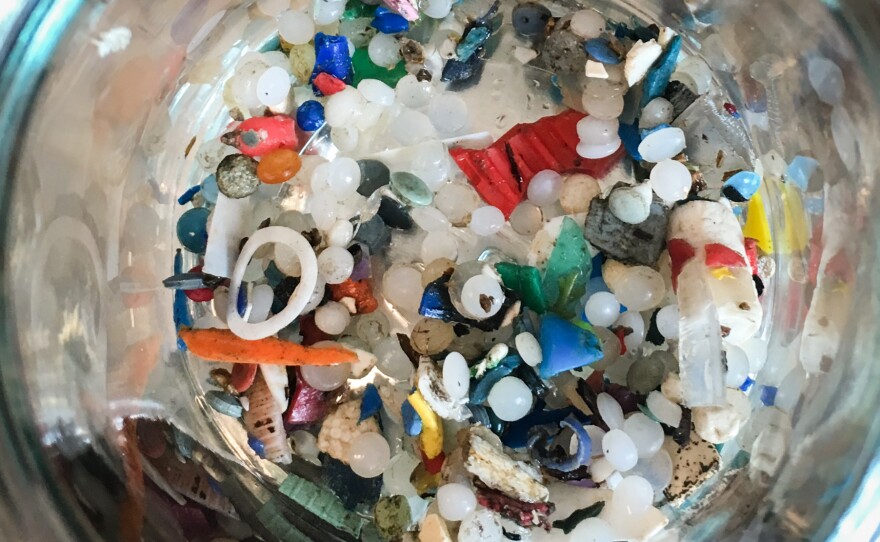 Microplastics found along Lake Ontario by Rochman's team