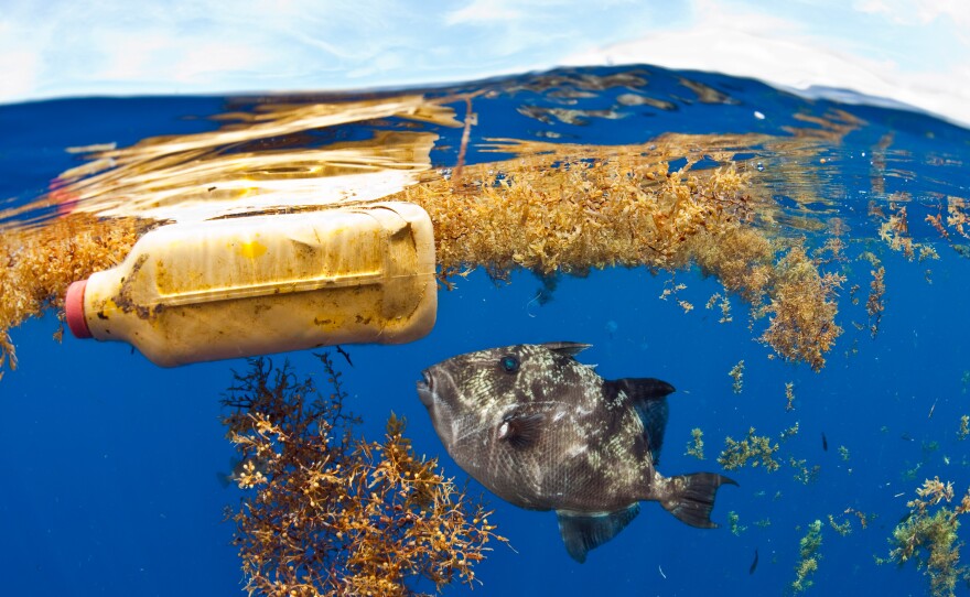 In addition to large plastic trash, researchers estimate that more than 21 million metric tons of tiny plastic debris are floating well below the Atlantic Ocean's surface.