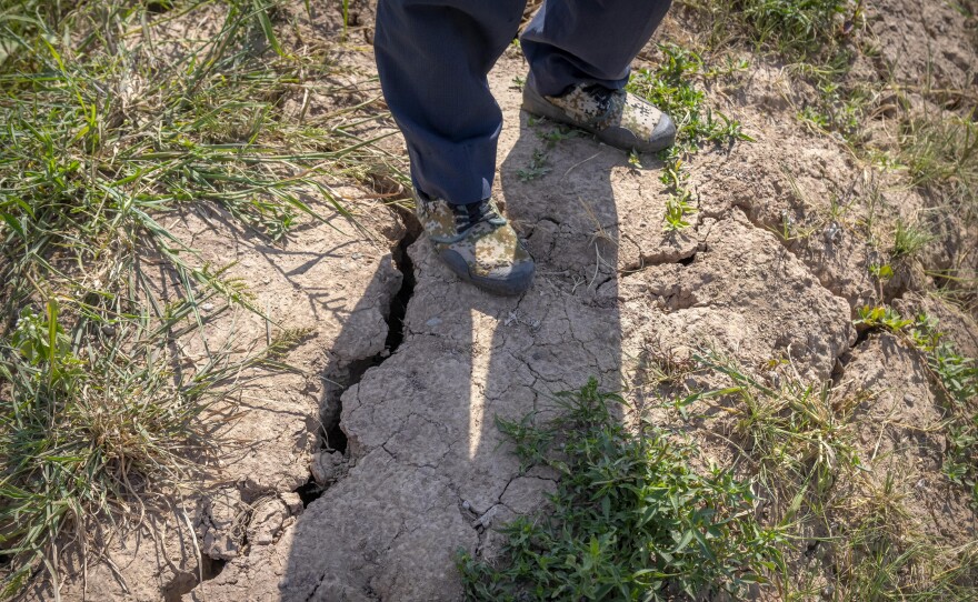 A farmer stands above a deep crack in the dried mud of an earthen embankment in his rice fields near Chongqing, China, on Sunday. The government says it will try to protect China's grain harvest from record-setting drought by using chemicals to generate rain.