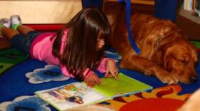 Olivia Figueroa, a 7-year-old with the Exceptional Family Member Program, reads a book to Muddy, a Labrador Retriever with Independent Therapy Dogs, Inc., at the Library aboard MCAS Miramar on Feb. 13.