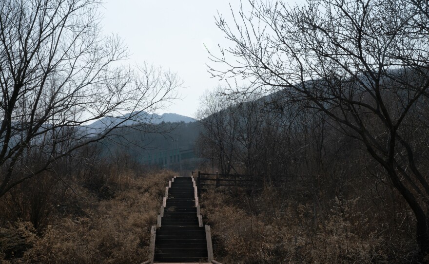 Stairs leading through the DMZ botanical garden, a branch of the Korea National Arboretum affiliated with Korea Forest Service.