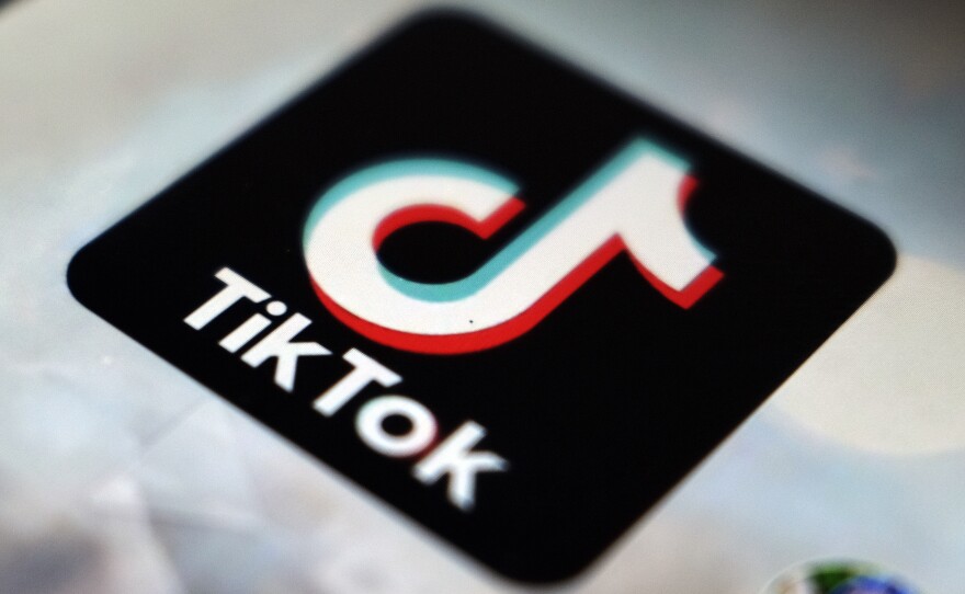A view of the TikTok app logo, in Tokyo.