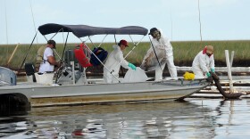Workers continue cleanup of oil in Barataria Bay June 19, 2010 near Grand Isle, Louisiana. The BP oil spill has been called one of the largest environmental disasters in American history. 