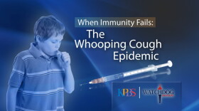 Title graphic for "When Immunity Fails: The Whooping Cough Epidemic"