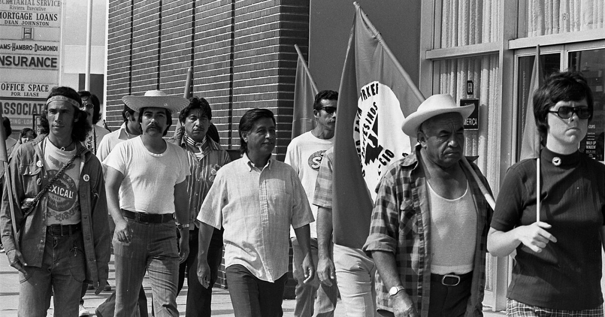 Master Cesar AMERICAN MASTERS: A Song for Cesar | KPBS Public Media